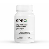 Digest Phase 2 PancreaMax